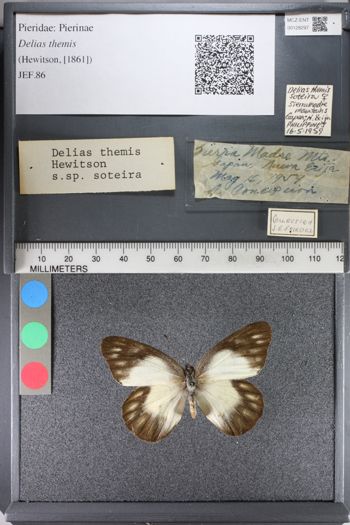 Media type: image;   Entomology 128297